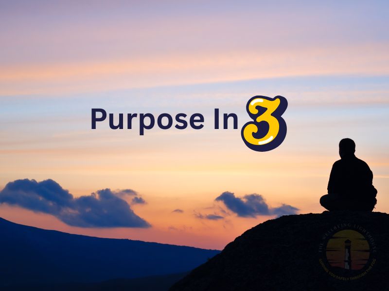 Purpose in 3